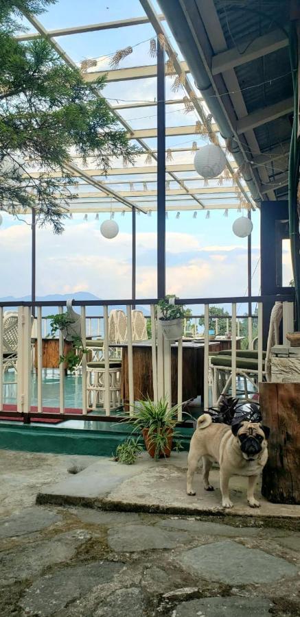The Nettle And Fern Farmstay Pelling Exterior foto
