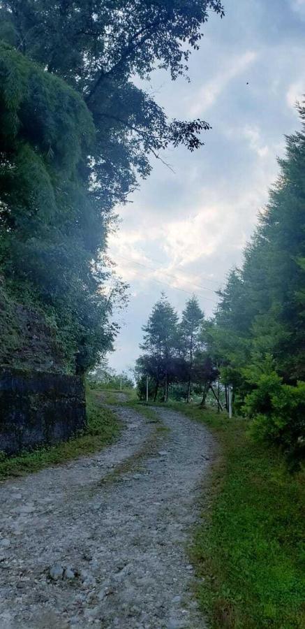 The Nettle And Fern Farmstay Pelling Exterior foto