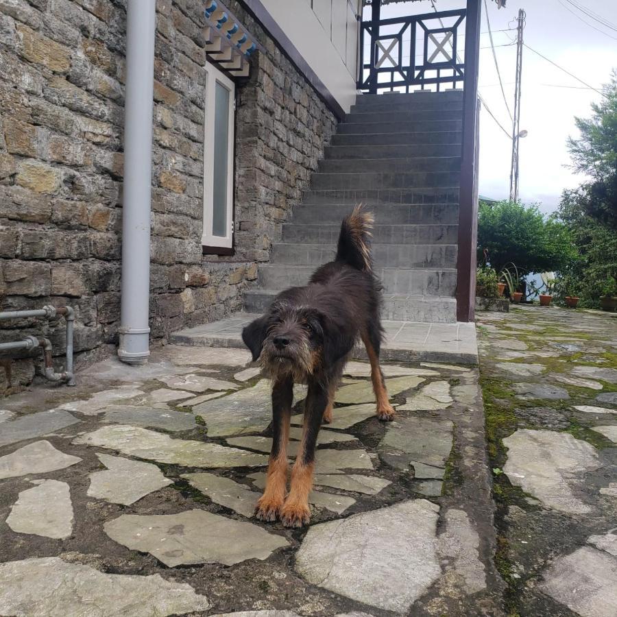 The Nettle And Fern Farmstay Pelling Exterior foto